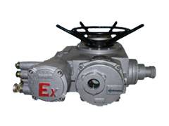 Explosion protection. electric drives MosE'lektroPrivod